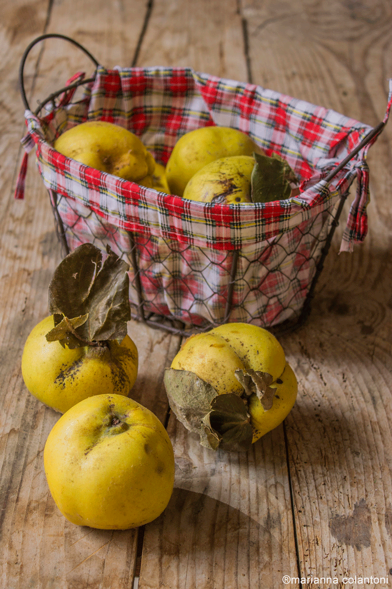 mele cotogne e una ricetta speciale 03