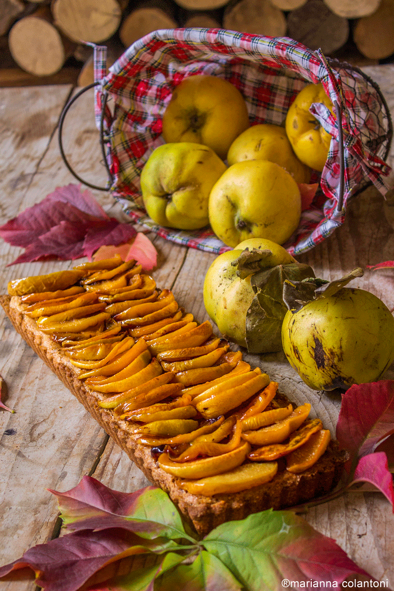 mele cotogne e una ricetta speciale 04