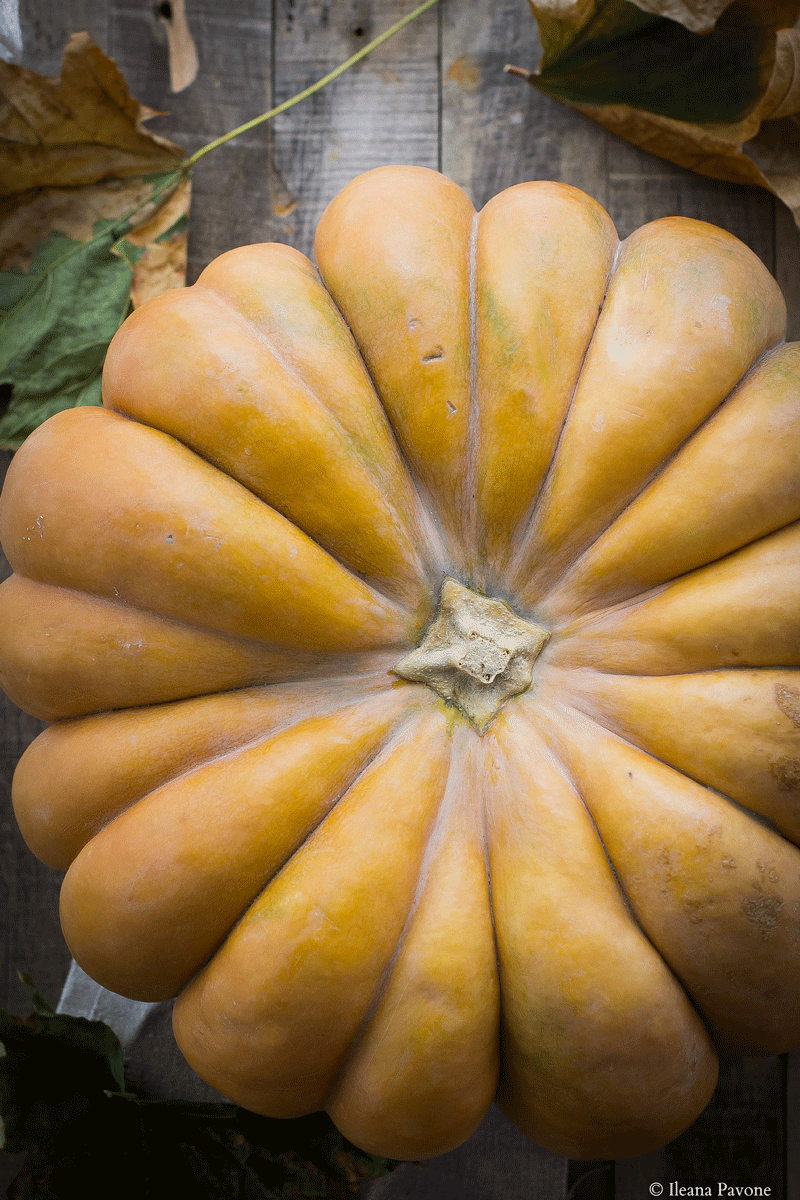 Pane dolce alla zucca e uvetta 01