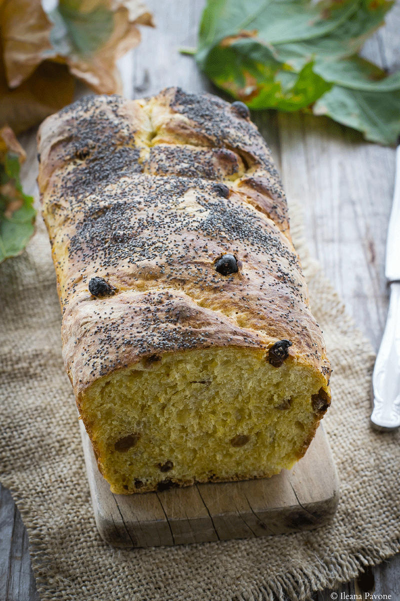 Pane dolce alla zucca e uvetta 02