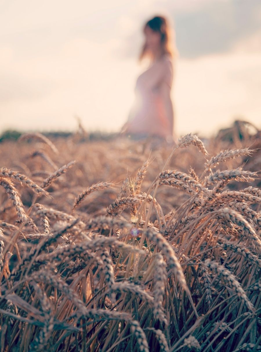 Le principali differenze tra 