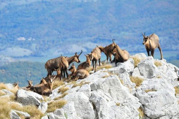 parco nazionale dabruzzo