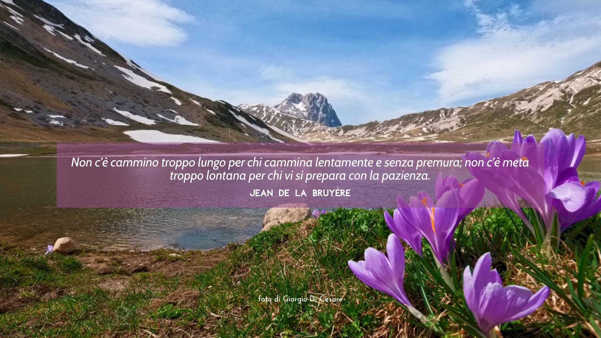 Guida I cammini dAbruzzo campo imperatore fioritura crochi