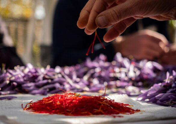 show cooking zafferano laquila