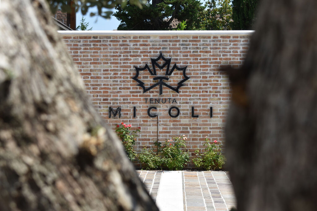 tenuta micoli 101