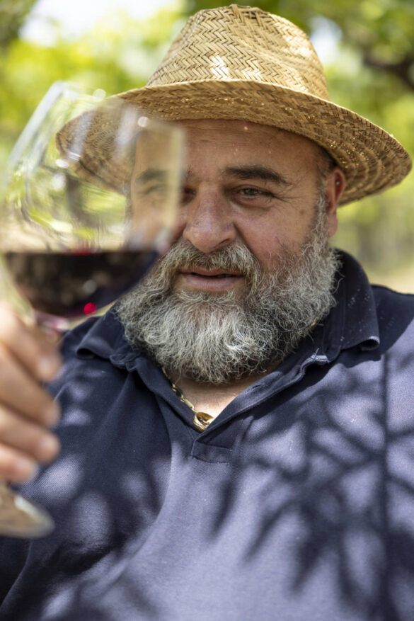 tenuta micoli vini e cantina 01