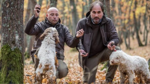 Truffle Summer Festival Abruzzo 2
